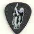 Guitar Pick - I Got This From Greg Hetson - No title (260x282)